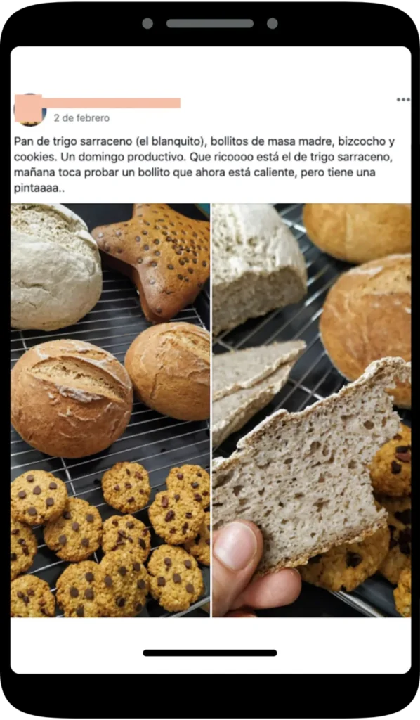 BOLLITOS SIN GLUTEN DEL CURSO PANES Y MASAS SIN GLUTEN